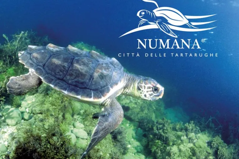 Numana – die Stadt der Schildkröten Bild: Numana – die Stadt der Schildkröten