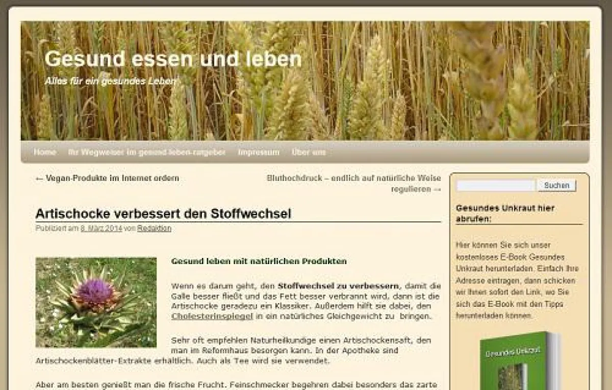 Artischocke für den Stoffwechsel