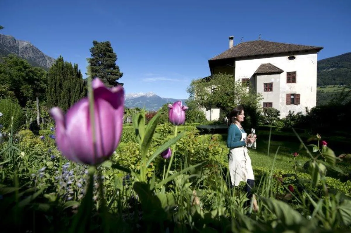 Träumen im Garten des Ansitz Gaudententurm