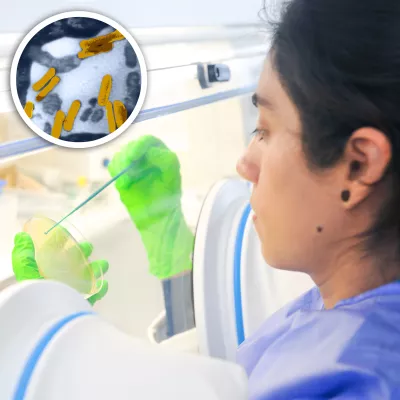 Internationale Studierende für Deutschlands Zukunft gewinnen Bild: Internationale Studierende für Deutschlands Zukunft gewinnen