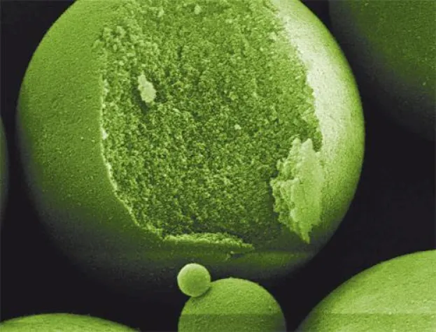 Bild: Ready for new discoveries