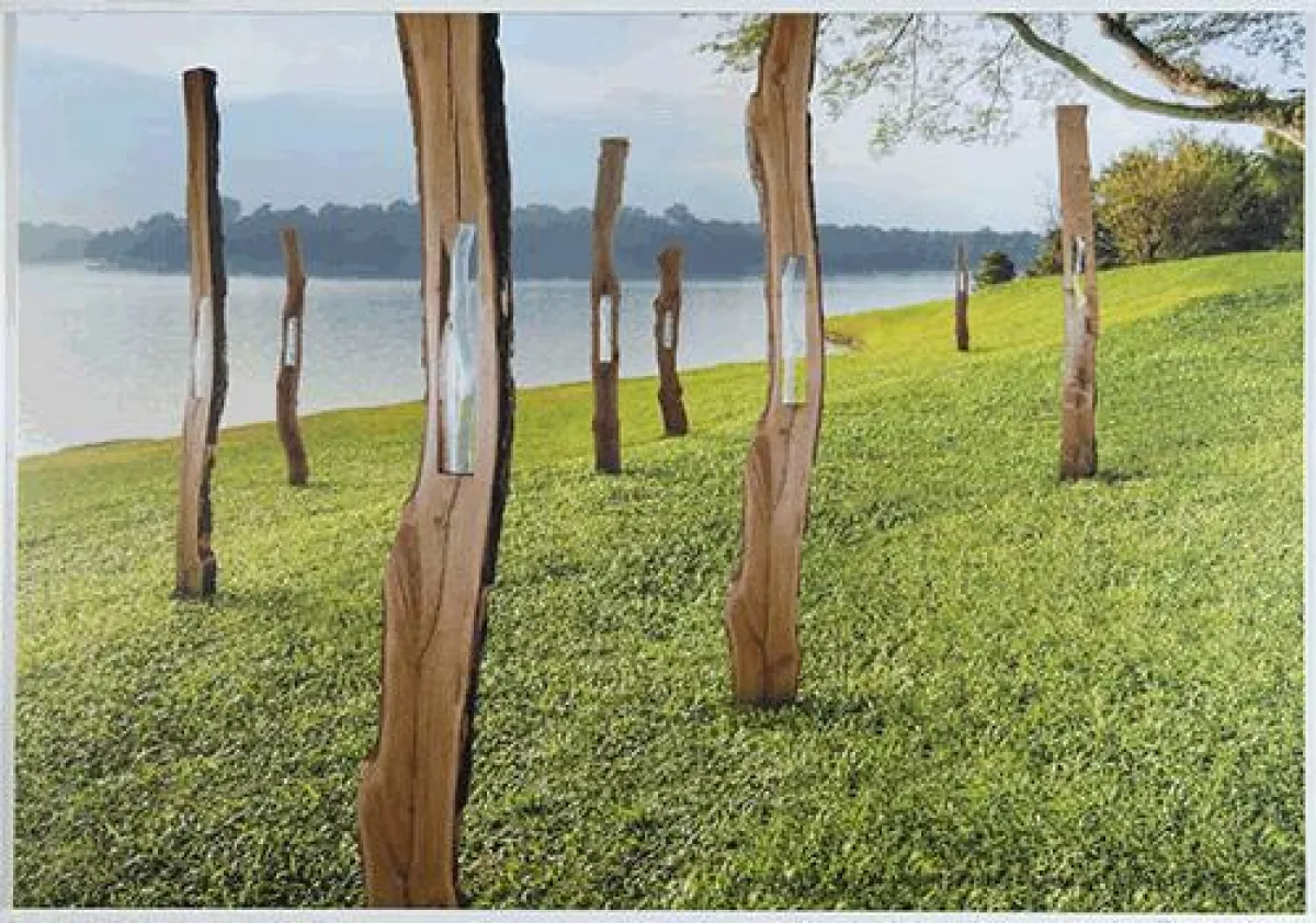 ?The Trees? nennt die Slowenin Tanja Pak ihren Entwurf für die Gläsernen Gärten von Frauenau. (Foto: Sepp Eder)