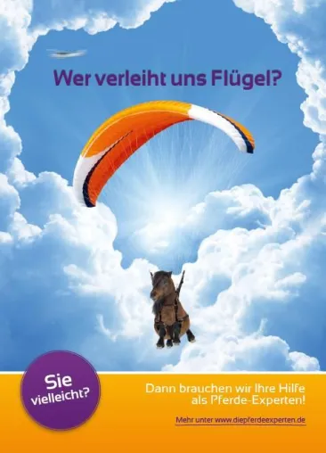 Bild: Pferdeliebhaber und Pferdeexperten gesucht