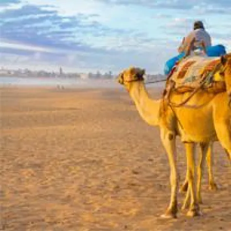 Bild: ECCO-Reisen: Neue Marokko Rundreise 'Königstädte' ist ohne Mindestteilnehmerzahl buchbar