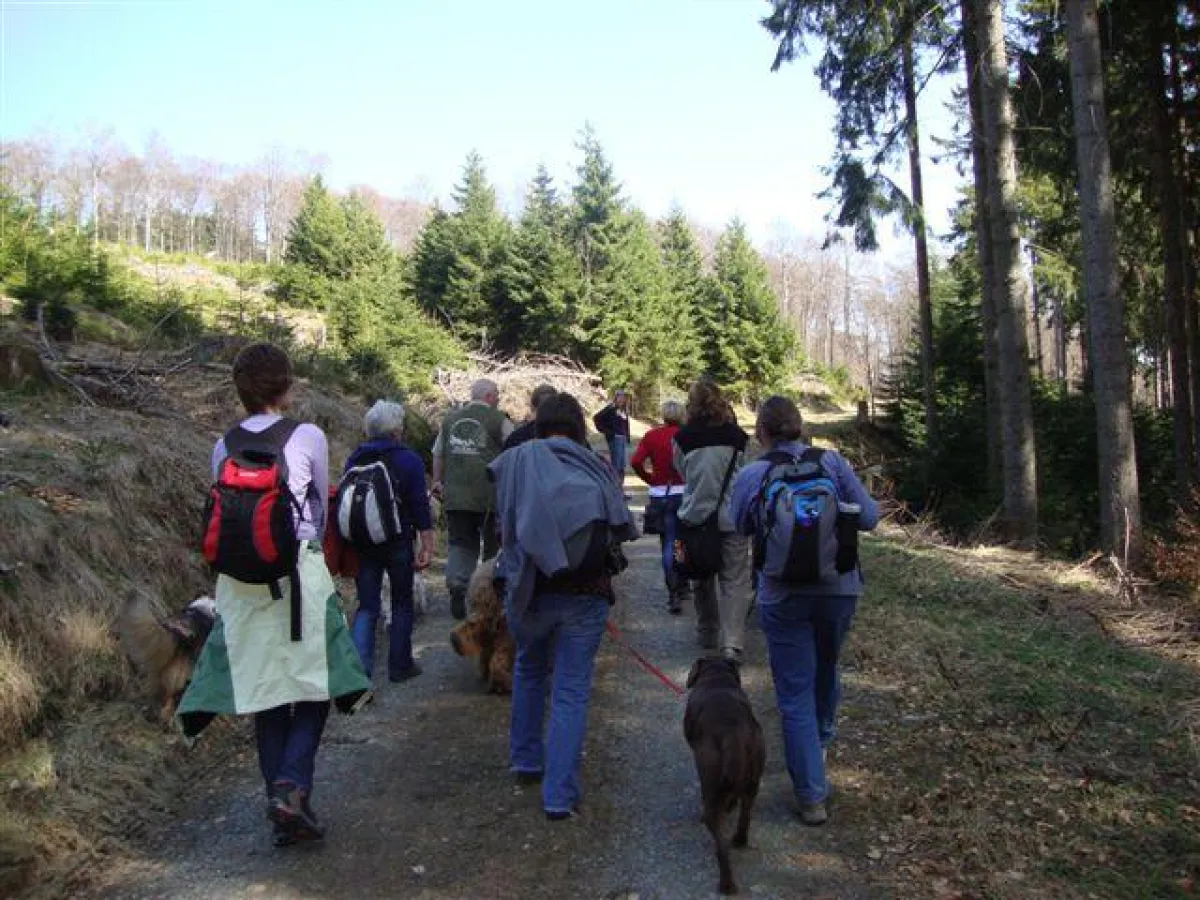 Hundewanderung in Wald und Flur