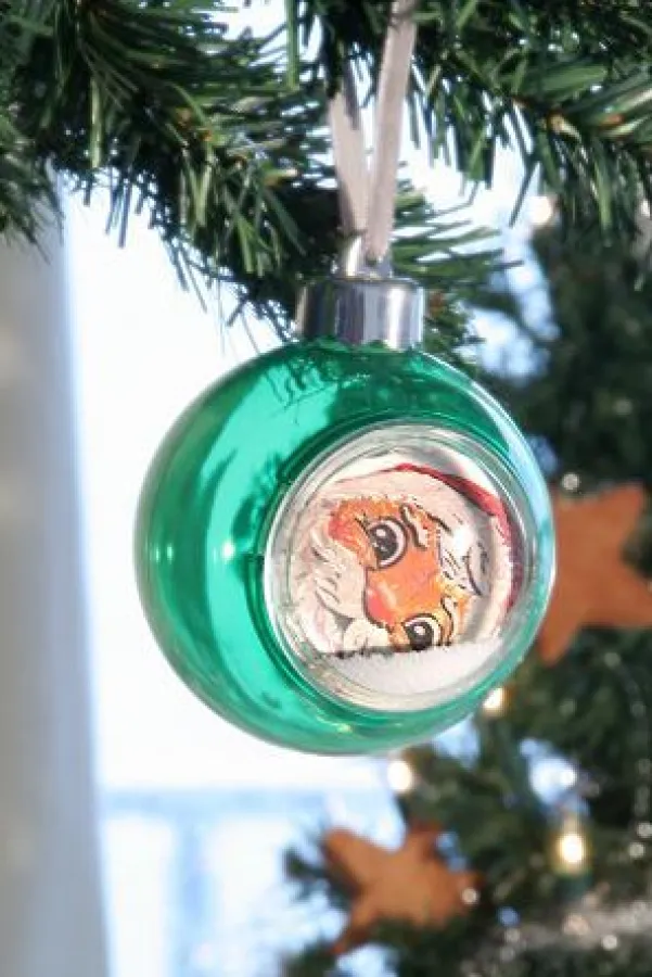 Foto Christbaumkugel bei AllesRahmen