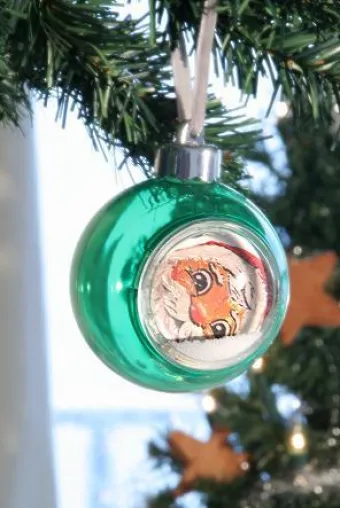 Bild: Fotobilderrahmen als Christbaumschmuck mit Internetpremiere