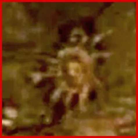 Bild: Erstes Alien auf dem Mars entdeckt?