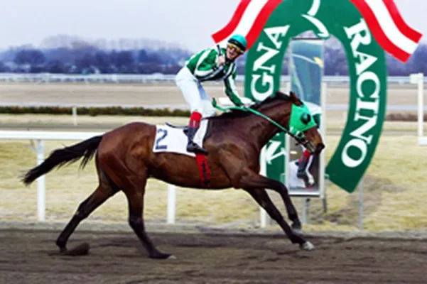 Bild: 142. Österreichisches Galopperderby im Magna Racino