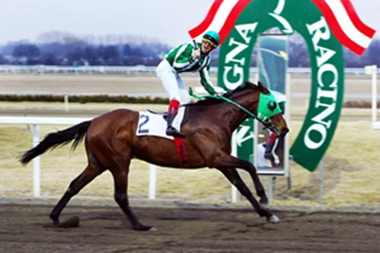 Bild: 142. Österreichisches Galopperderby im Magna Racino