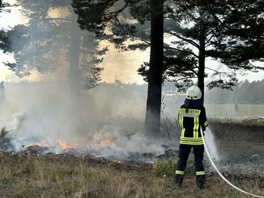 Waldbrände: Neue Erkenntnisse machen Bekämpfung sicherer und wirksamer Bild: Waldbrände: Neue Erkenntnisse machen Bekämpfung sicherer und wirksamer