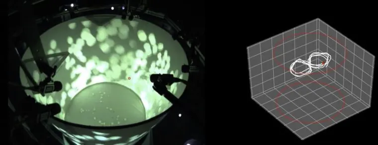 Bild: A holodeck for flies, fish and mice
