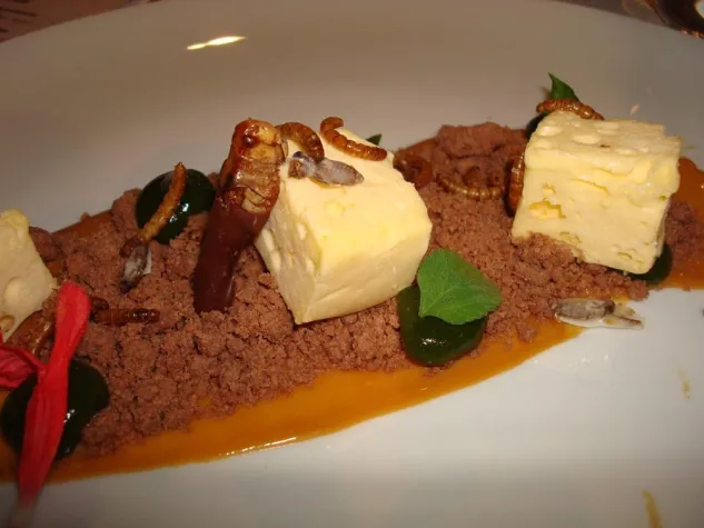 Bild: Die Ernährung der Zukunft: innovativ, nachhaltig und gesund?!