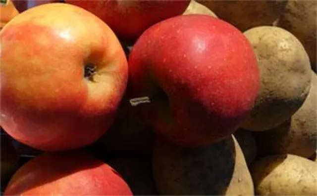 Bild: Obst und Gemüse bleiben durch Bio-Waschgang frisch und haltbar