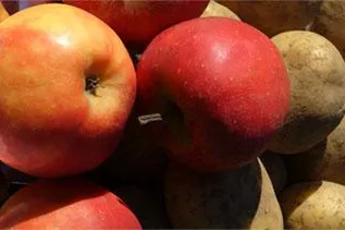 Bild: Obst und Gemüse bleiben durch Bio-Waschgang frisch und haltbar