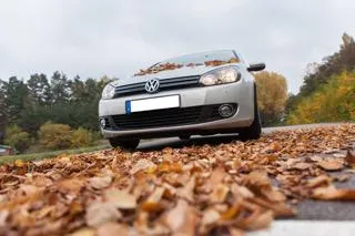 Sicher durch den Herbst Bild: Sicher durch den Herbst