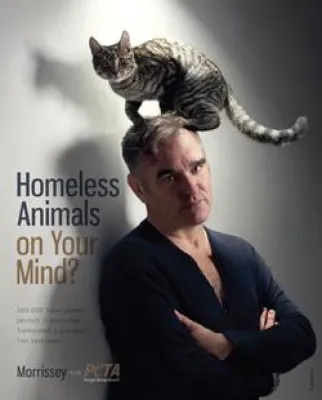 Bild: Morrissey appelliert zur Ferienzeit: „Lassen Sie Ihre Hunde und Katzen kastrieren“