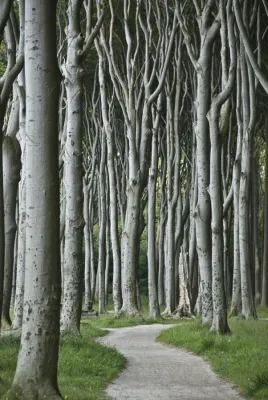 Bild: Fotoworkshop „Bildgestaltung“ im August 2016 in Nürnberg