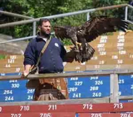 Bild: Saisonabschluss für Adler "Hera" nach Karl May Spielzeit 2009