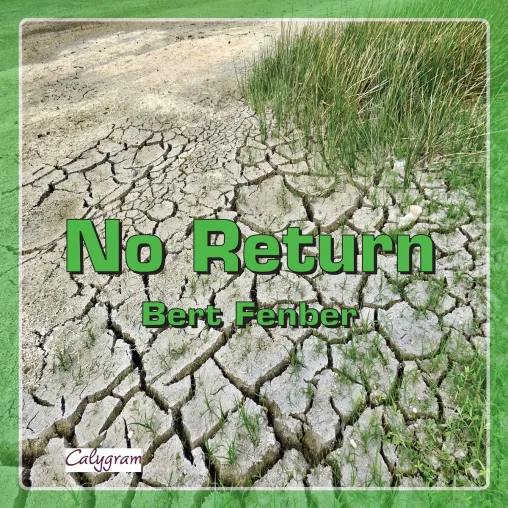 Singer/Songwriter Bert Fenber mit "No Return" gegen den Klimawandel Bild: Singer/Songwriter Bert Fenber mit "No Return" gegen den Klimawandel