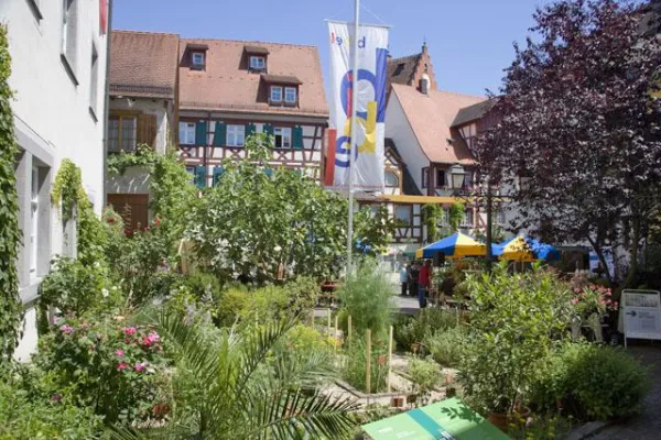 Bild: Canstein-Medaille für Team der Bibelgalerie Meersburg