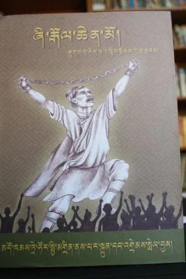 Bild: Über 240 Proteste und 140 Verurteilungen 2008/2009 in Tehor in Osttibet