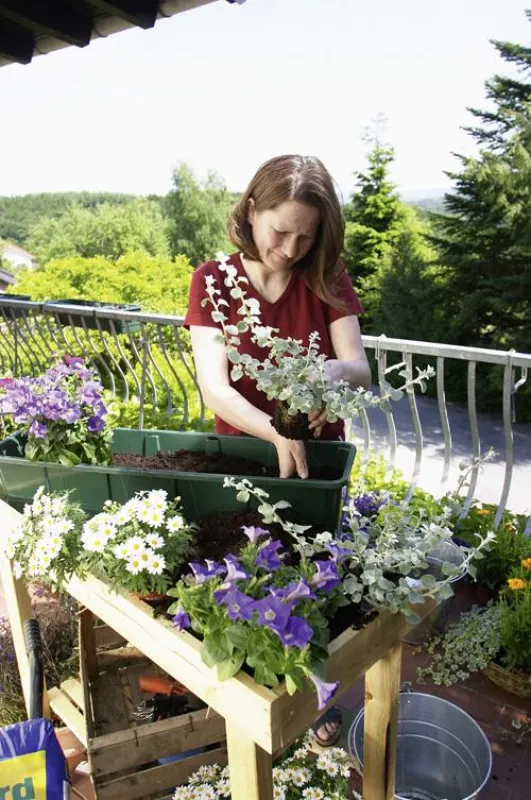 Floragard Aktiv-Pflanzenerde vereint Erde und Dünger in einem und versorgt Pflanzen mit Nährstoffen.
