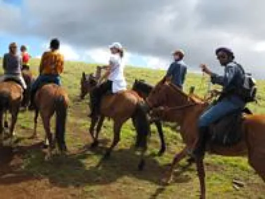 Arbeiten auf der Pferdefarm in Chile Bild: Arbeiten auf der Pferdefarm in Chile
