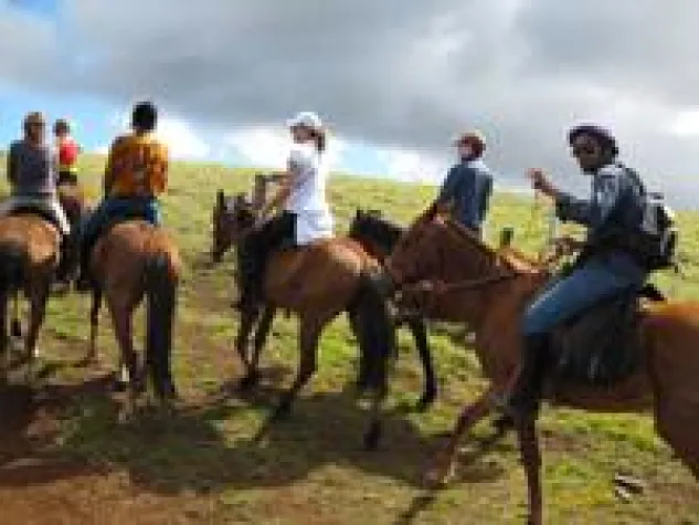 Bild: Arbeiten auf der Pferdefarm in Chile