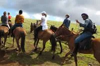 Bild: Arbeiten auf der Pferdefarm in Chile