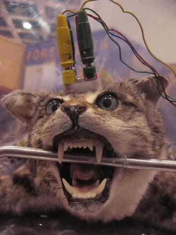 Bild: Fortschritt durch Tierversuche ist wie Frieden durch Atombomben