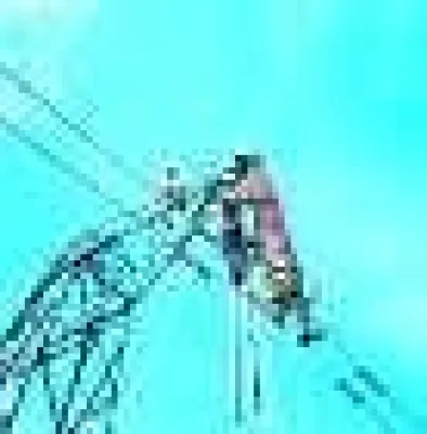 Bild: Praxisnahe Problemlösungen auf der Fachtagung „Elektrotechnischer Brandschutz 2009“ von WEKA MEDIA