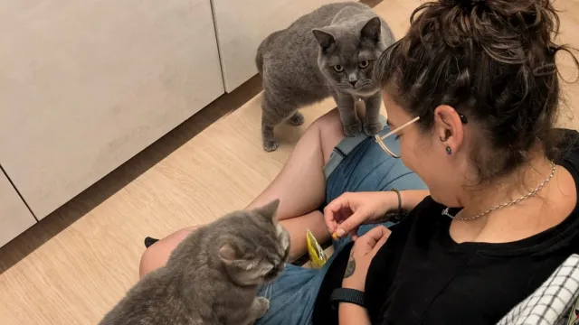 Bild: Pet Patrol – Heimtierservice: 1 Jahr persönliche Haustierbetreuung in Salzburg