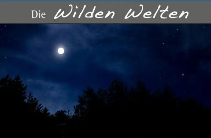 Bild: Für Nachtschwärmer - Geführte Nachtwanderung durch die Wilden Welten des Hohen Knochens im Sauerland