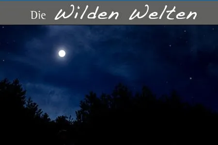 Bild: Für Nachtschwärmer - Geführte Nachtwanderung durch die Wilden Welten des Hohen Knochens im Sauerland