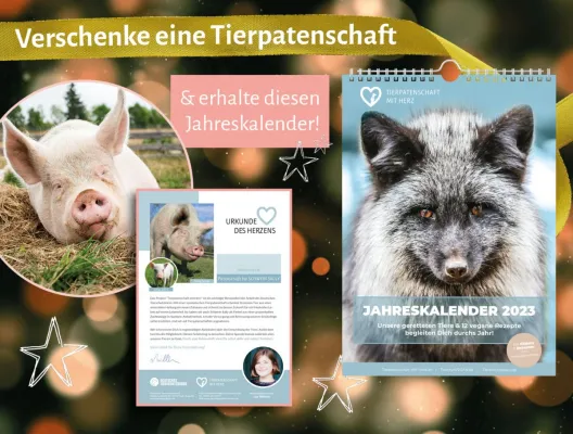 Bild: Das perfekte nachhaltige Weihnachtsgeschenk: Tierpatenschaft verschenken & Jahreskalender 2023 zum Dank 