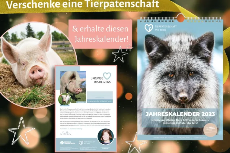 Bild: Das perfekte nachhaltige Weihnachtsgeschenk: Tierpatenschaft verschenken & Jahreskalender 2023 zum Dank 