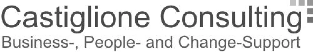 Castiglione Consulting - Business-, People- and Change-Support