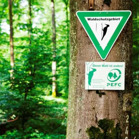 PEFC sucht die Waldhauptstadt 2013 Bild: PEFC sucht die Waldhauptstadt 2013