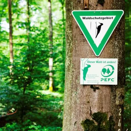 Bild: PEFC sucht die Waldhauptstadt 2013