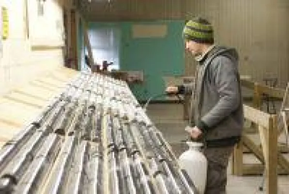 Bild: Schwarzer Schwan = glänzendes Gold