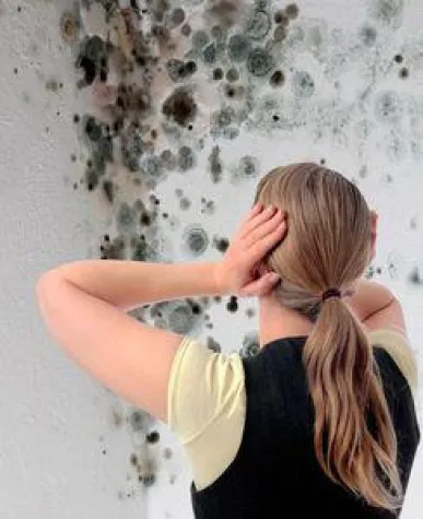 Bild: Verkannte Gefahr: Krank durch Schimmel