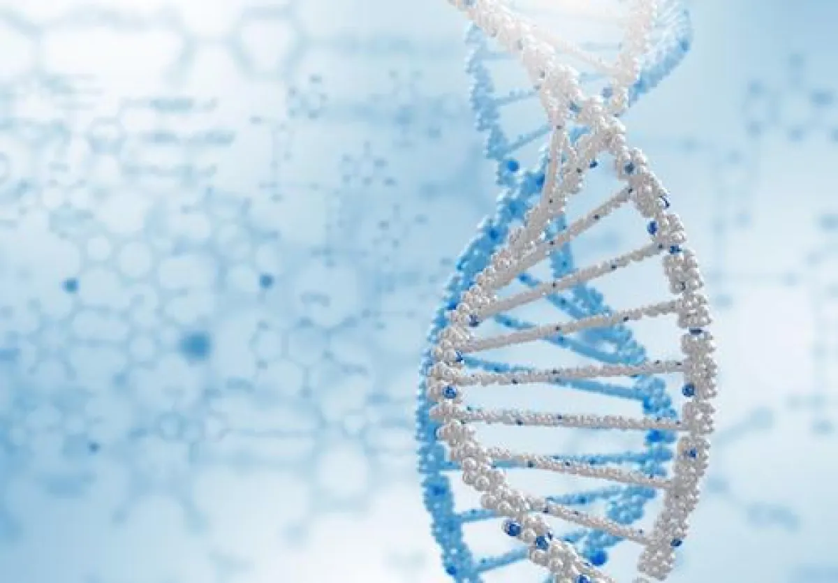 Aminosäuren sind die Bausteine der Proteine