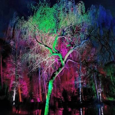 Bild: Fotoworkshop am 21. März 2020 beim Waldleuchten in Bad Lippspringe