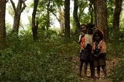 Bild: Indien: Indigenes Volk sichert erstmals Landrechte in Tigerreservat