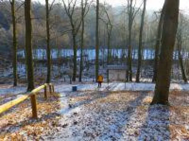 Gute Vorsätze für 2019 Bild: Gute Vorsätze für 2019