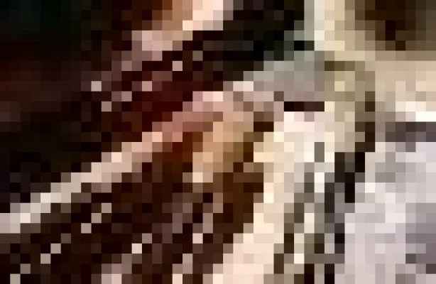 Bild: bbw-Marketing: „Basteln - eine Branche trotzt den elektronischen Medien“