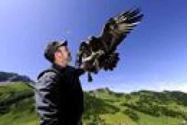 Bild: Königliches in der Luft – Fürstliche Woche