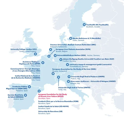 Bild: Das DECISION-Projekt – Wie Europäische Forscher die Zahl an Zirrhose sterbender Patienten verringern wollen