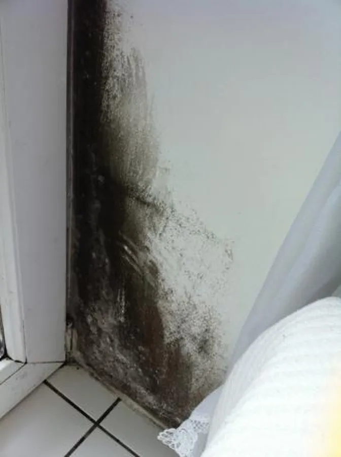 epasit Baustoffe helfen zuverlässig gegen Schimmel